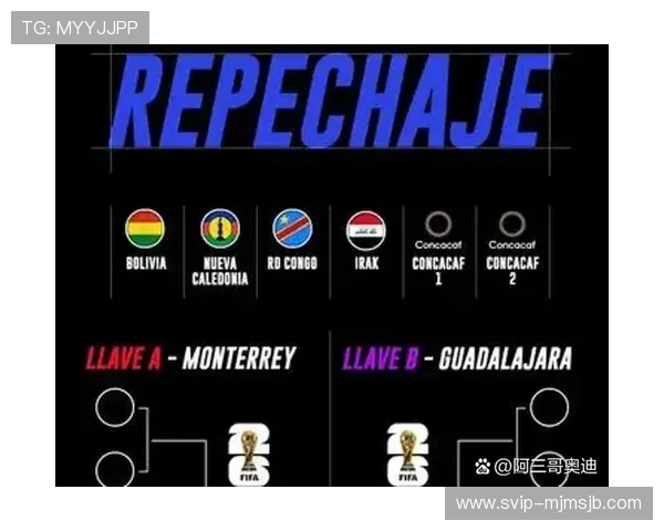 2026年世界杯名额分配方案全面解读及各大洲参赛资格变化