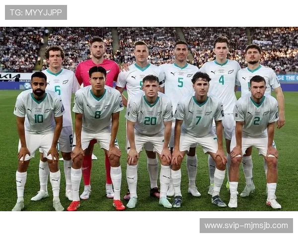 全面解读足球世界杯预选赛最新结果，助你了解各大洲晋级形势与精彩瞬间