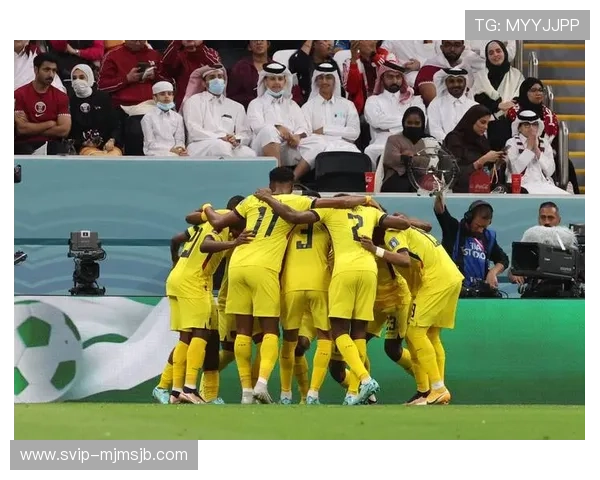 卡塔尔世界杯英文报道常用词汇与表达技巧详解