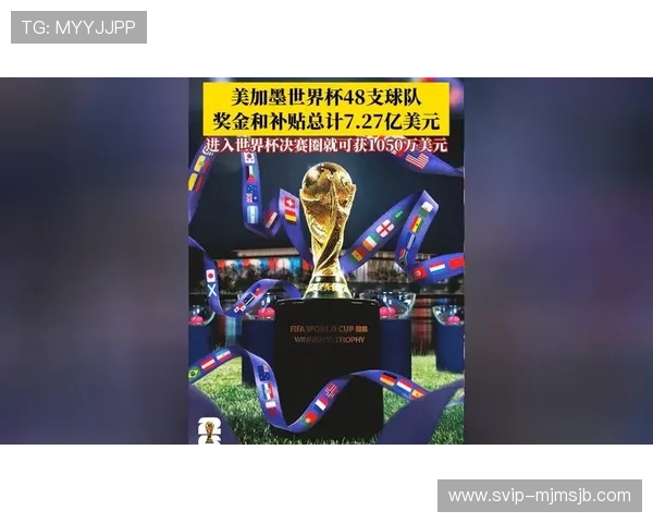 2026年世界杯举办国家的观众体验、赛事票务分配及观赛指南详解