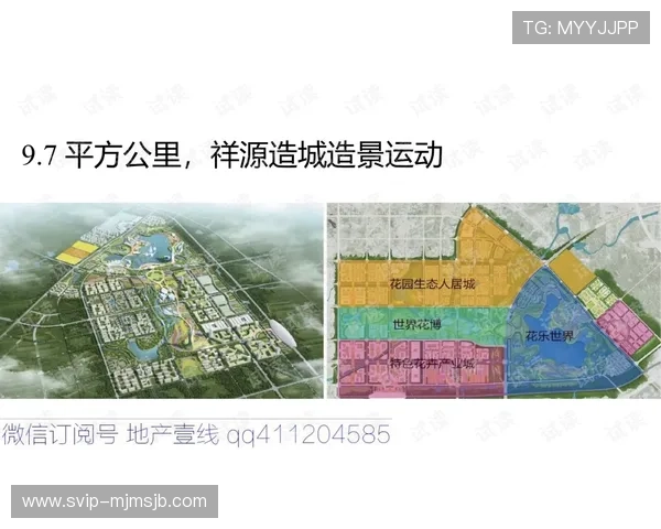 国际足联的官方平台在全球足球推广中的作用与未来发展趋势详解