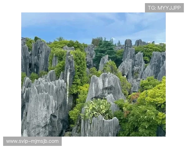 世界杯买球tutorial详细指南帮助新手快速掌握投注技巧与流程